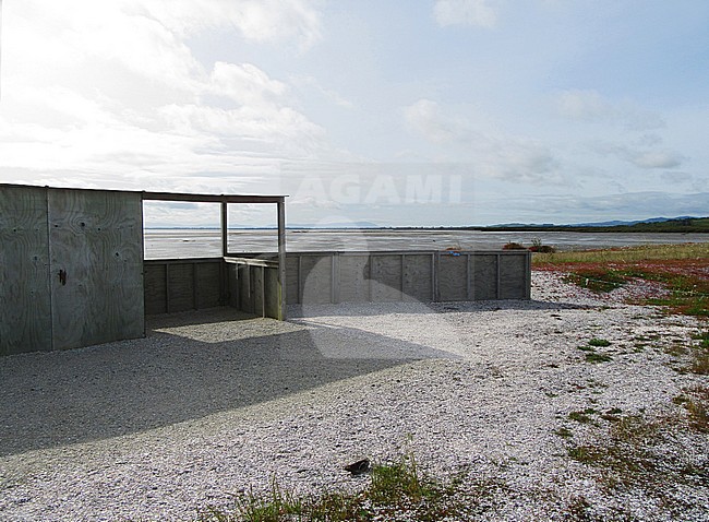 Bird hide at Robert Findlay Wildlife Reserve, Miranda, New Zealand stock-image by Agami/Marc Guyt,