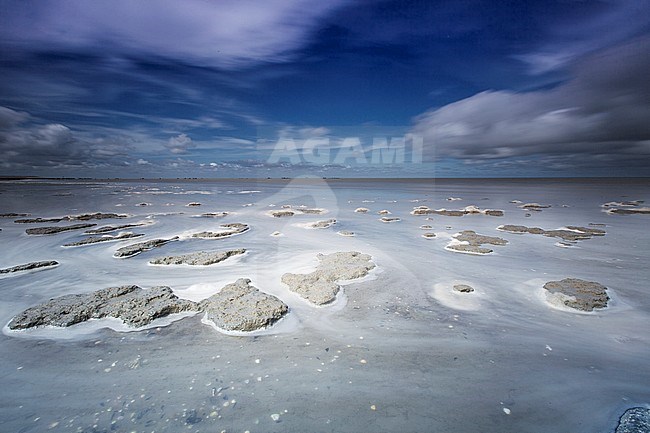 Wadddengebied bij Paesens/Moddergat, Tidalflats at Paesens/Moddergat stock-image by Agami/Wil Leurs,