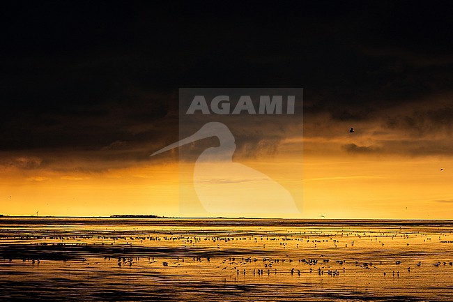  stock-image by Agami/Menno van Duijn,