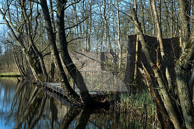 Landschap Naardermeer, Landscape Naardermeer stock-image by Agami/Anja Nusse,