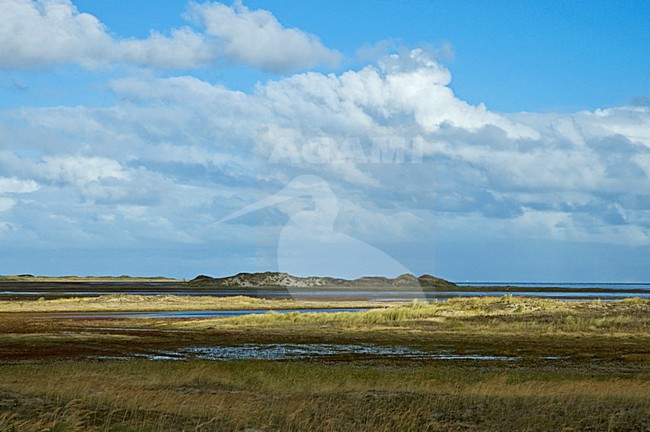 De Vliehorst op Vlieland; Vliehorst on Vlieland stock-image by Agami/Marc Guyt,