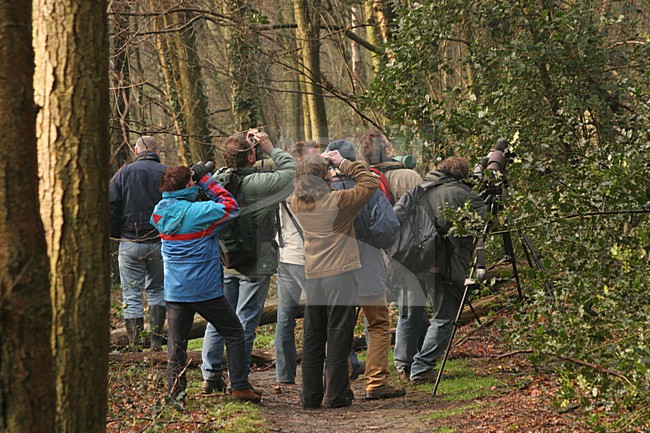 Vogelaars in het bos; Birdwatcher in a forest stock-image by Agami/Menno van Duijn,