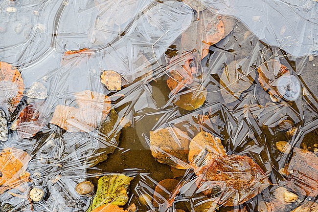 Bevroren regenplas, Frozen puddle stock-image by Agami/Rob Riemer,