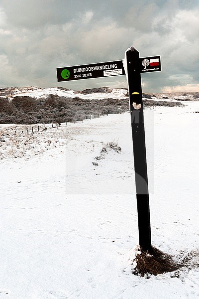 Direction sign for Duinrooswandeling at Nationaal Park Hollandse Duinen in winter stock-image by Agami/Marc Guyt,