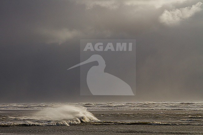 Sunset over storm north sea with big waves and breaking surf stock-image by Agami/Menno van Duijn,