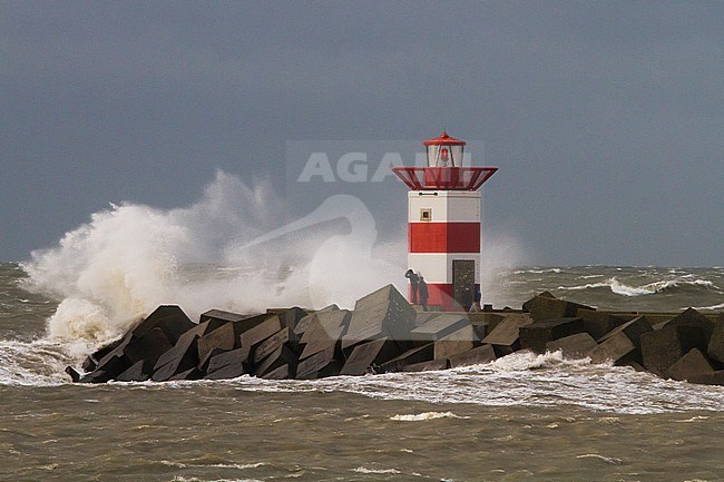 Vuurtoren op pier tijdens storm; Lighthouse on jetty during storm stock-image by Agami/Menno van Duijn,