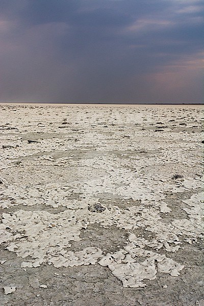 A storm approaching the salt pan. Nxai Pan, Botswana stock-image by Agami/Sergio Pitamitz,