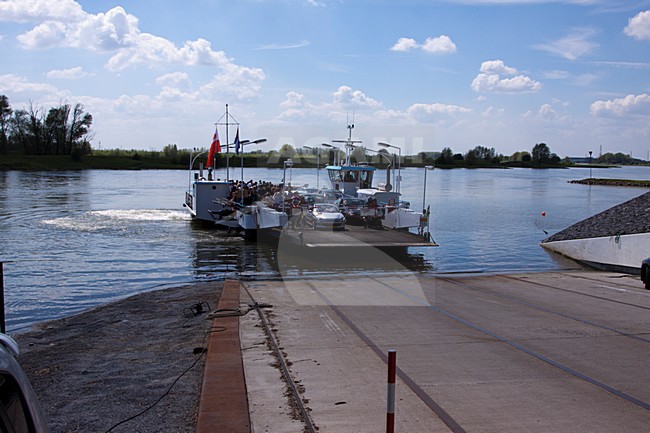 Veerpont over de Rijn (Nederland), Ferry over the river Rhine (Netherlands) stock-image by Agami/Theo Douma,