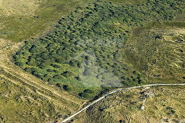  stock-image by Agami/Marc Guyt,