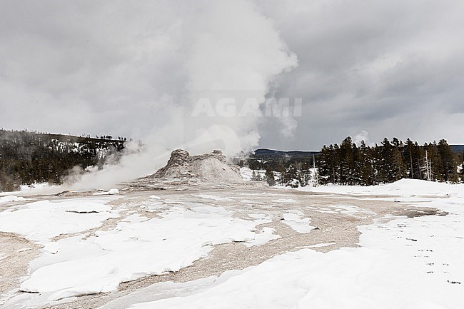 Erupting geyser at snow-covered Yellowstone National Park stock-image by Agami/Caroline Piek,