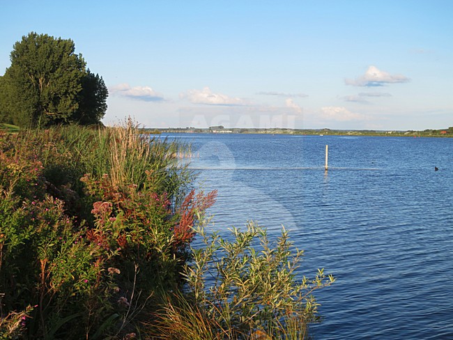 Nuldernauw, Veluwerandmeer; Nederland / Netherlands stock-image by Agami/Marc Guyt,