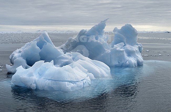  stock-image by Agami/Rob Riemer,