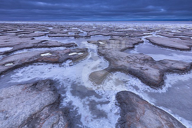 Frozen Wadden Sea stock-image by Agami/Wil Leurs,