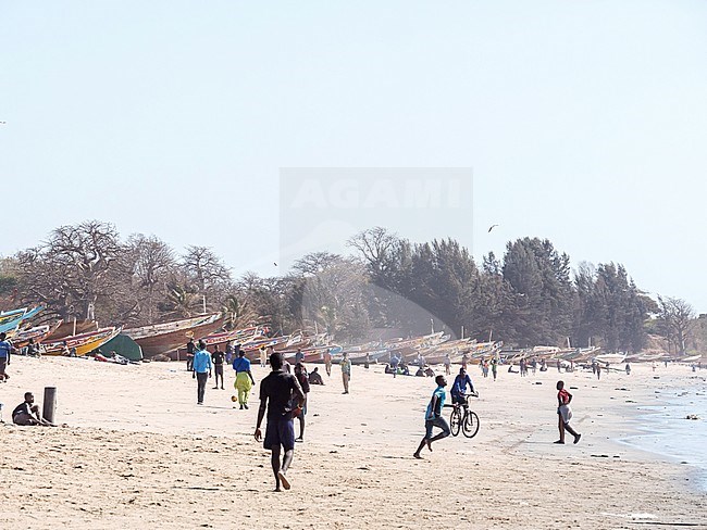 Typical beach landscape in the Gambia. Beautiful stretch of the coast. Beach walkers. stock-image by Agami/Hans Germeraad,