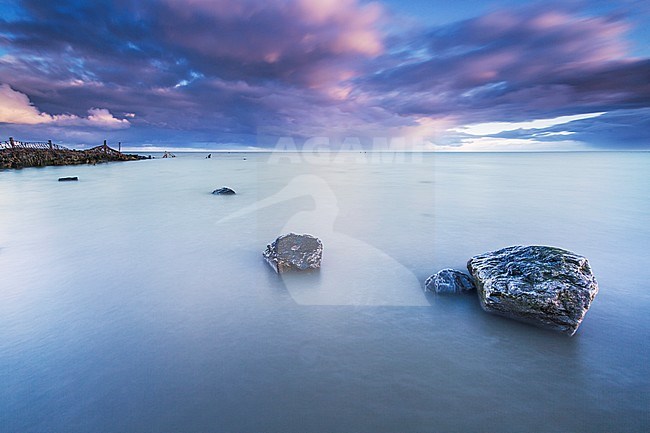 Wierumerwad, Wadden sea stock-image by Agami/Wil Leurs,