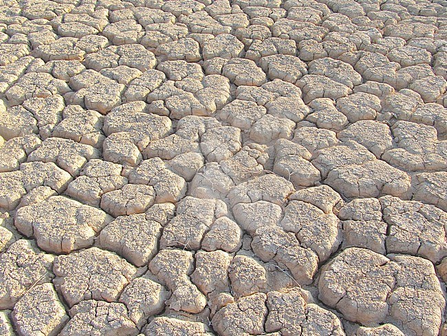 Dried out river bed (wadi) in Negev desert of Israel around the Dead Sea. stock-image by Agami/Marc Guyt,