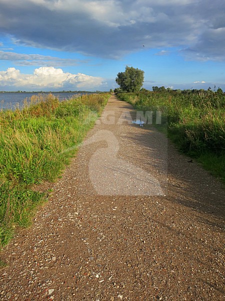 Wandelpad Reeuwijkse plassen; Walking track; Nederland / Netherlands stock-image by Agami/Marc Guyt,