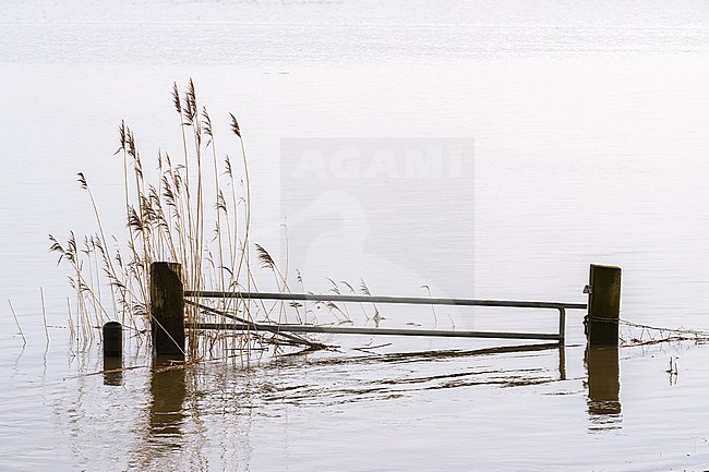 IJssel hoog water, IJssel high water stock-image by Agami/Eric Tempelaars,