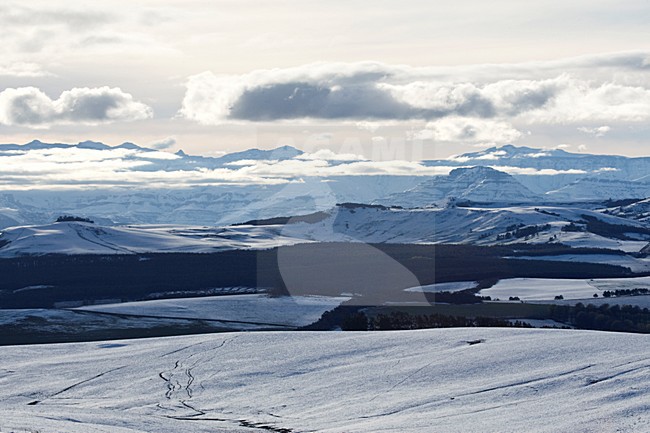 manual updated stock-image by Agami/Marc Guyt,