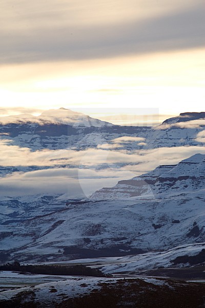 manual updated stock-image by Agami/Marc Guyt,