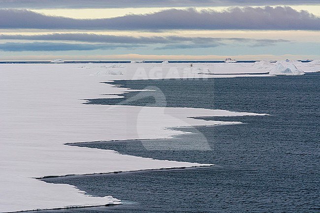 Ice along the southern edge of the Austfonna ice cap. Nordaustlandet, Svalbard, Norway stock-image by Agami/Sergio Pitamitz,