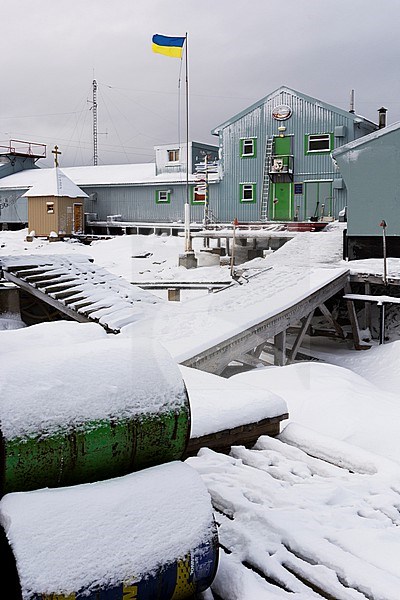 Vernadsky research base, the Ukrainian Antarctic station at Marina Point on Galindez Island in the Argentine Islands, Antarctica. Antarctica. stock-image by Agami/Sergio Pitamitz,