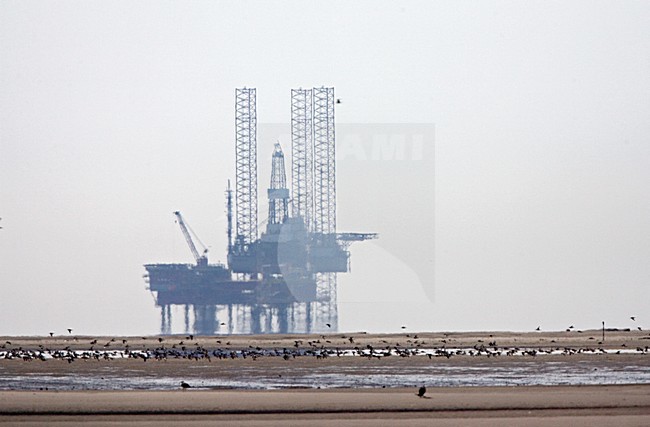 Olieplatform in de Waddenzee; Oilrig in the Waddensea stock-image by Agami/Marc Guyt,
