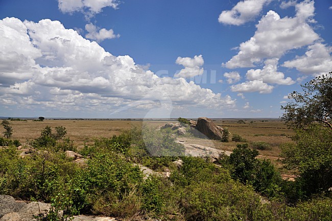  stock-image by Agami/Laurens Steijn,