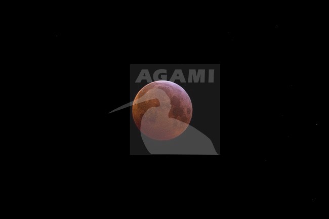 Blood Moon in total lunar eclipse stock-image by Agami/Theo Douma,