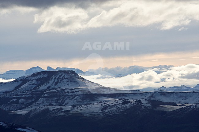 Underberg, Drakensbergen, South-Africa stock-image by Agami/Marc Guyt,