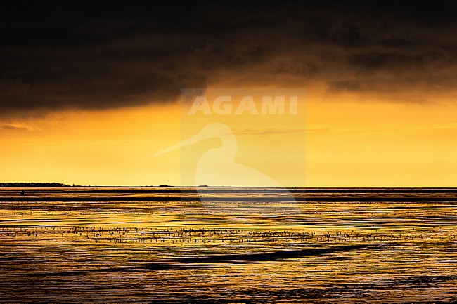  stock-image by Agami/Menno van Duijn,