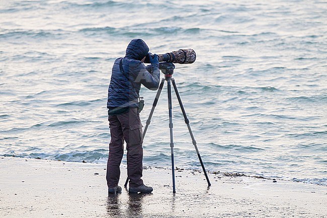 Bird photographer with Nikon equipment at the Brouwersdam stock-image by Agami/Menno van Duijn,