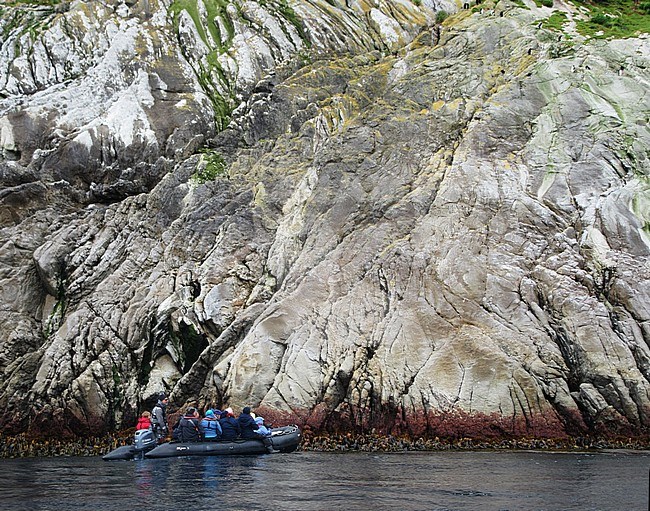Zodiac cruise along the coast on The Snares, Subantarctic New Zealand. Expedition cruise ecotourists watching for wildlife along the shores. stock-image by Agami/Marc Guyt,