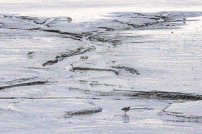  stock-image by Agami/Menno van Duijn,