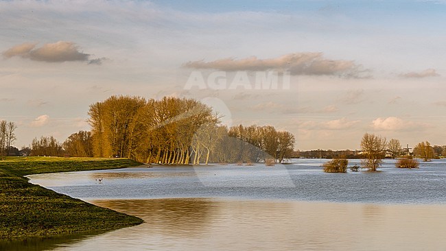IJssel hoog water, IJssel high water stock-image by Agami/Eric Tempelaars,