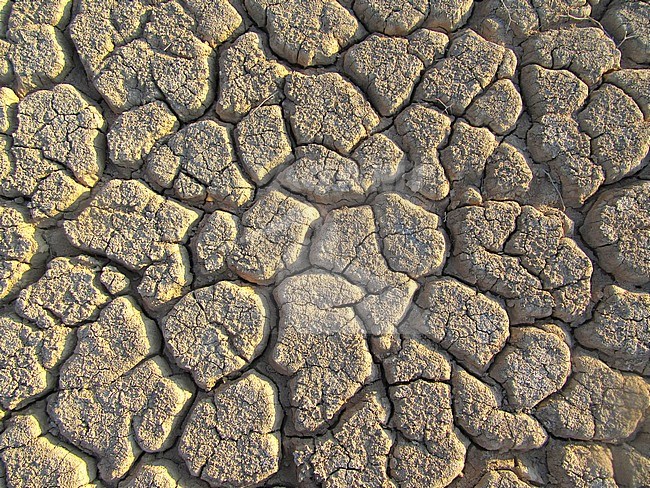 Dried out river bed (wadi) in Negev desert of Israel around the Dead Sea. stock-image by Agami/Marc Guyt,