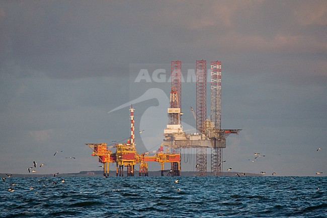 Olieplatform in de Waddenzee; Oilrig in the Waddensea stock-image by Agami/Marc Guyt,