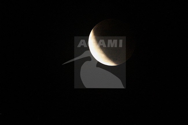Lunar eclips seen from Banda sea cruise, Indonesia stock-image by Agami/James Eaton,