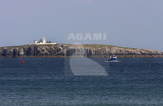 De Farne Islands liggen voor de Oostkust van Engeland. stock-image by Agami/Jacques van der Neut,