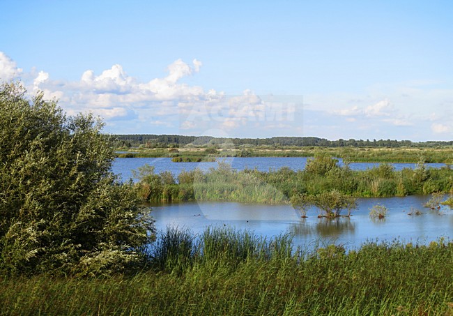 Harderbroek, Flevopolder; Nederlands / Netherlands stock-image by Agami/Marc Guyt,