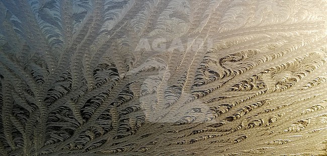 Frost on window stock-image by Agami/Martijn Verdoes,