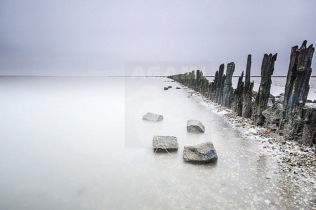 Tidalflats Peazemerlannen stock-image by Agami/Wil Leurs,