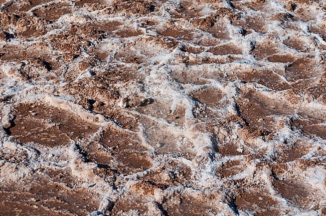 A close up of crusted earth in the salt pan of Badwater Basin. Death Valley National Park, California, USA. stock-image by Agami/Sergio Pitamitz,