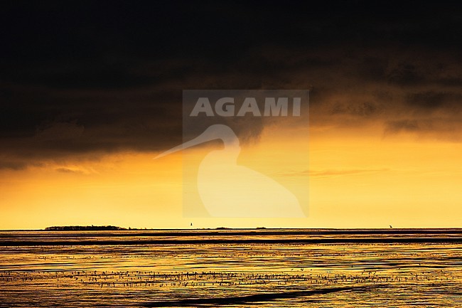  stock-image by Agami/Menno van Duijn,