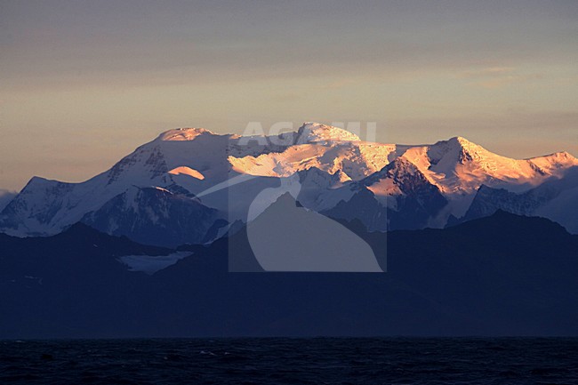 South Georgia met avondlicht; South Georgia with evening light stock-image by Agami/Marc Guyt,