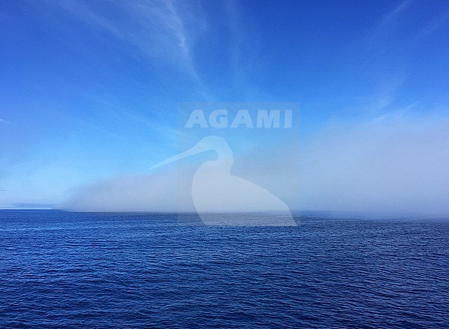 Coastal pacific ocean off Dunedin, South Islands, New Zealand. Thick mist bank at sea due to almost no wind during the day. stock-image by Agami/Marc Guyt,