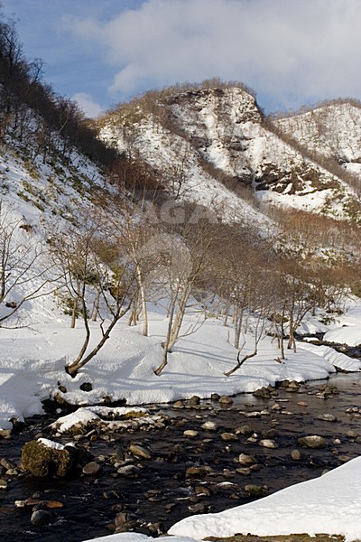 Rausu, Hokkaido, Japan stock-image by Agami/Marc Guyt,