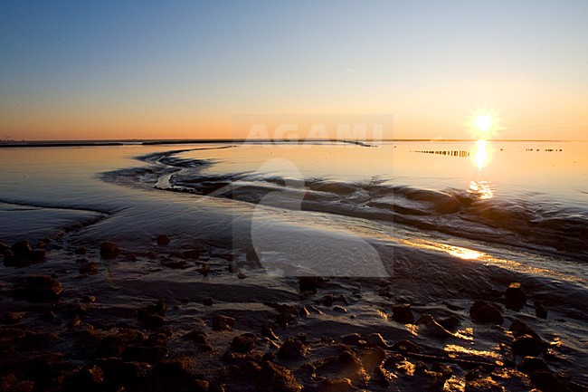 Waddenzee bij Holwerd; Wadden Sea at Holwerd stock-image by Agami/Marc Guyt,