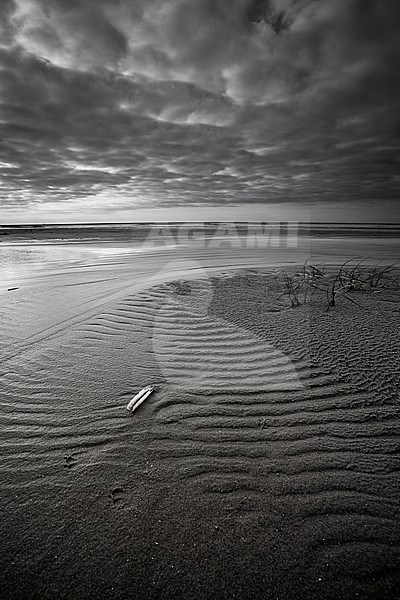 North Sea Beach stock-image by Agami/Wil Leurs,