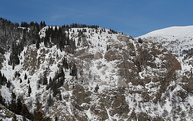 Snow covered Sredna Gora mountains near Koprivshtitsa, Bulgaria. stock-image by Agami/Marc Guyt,